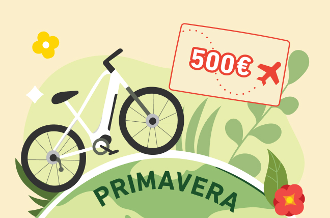 Vincitori edizione primavera