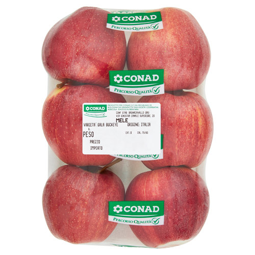 CONAD Percorso Qualità Mele Gala Buckeye Italia cal. 75/80-image