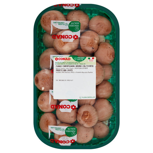 CONAD Percorso Qualità Fungo Champignon Bruno Coltivato Italia 0,500 kg-image