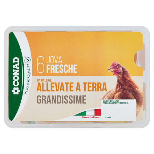 CONAD Percorso Qualità 6 Uova Fresche da Galline Allevate a Terra Grandissime-image