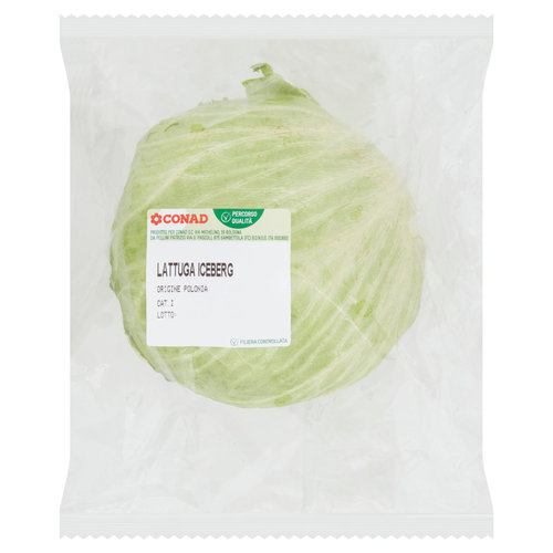 CONAD Percorso Qualità Lattuga Iceberg Polonia 400 g-image